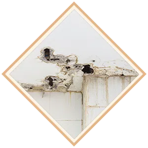 Boca Raton Water Damage Boca Raton, FL 561-295-4531 - sb-ser-01-water-leak