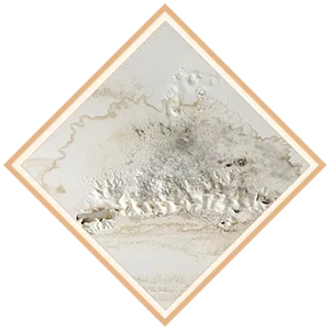 Boca Raton Water Damage Boca Raton, FL 561-295-4531 - sb-ser-04-water-damage