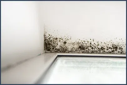 Boca Raton Water Damage Boca Raton, FL 561-295-4531 - v2-city-img8